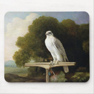 Mousepad Falcão de Greenland (falcão cinzento), 1780 (ól