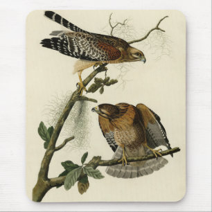 Mousepad Falcão de ombros vermelhos - Aves da América de Au