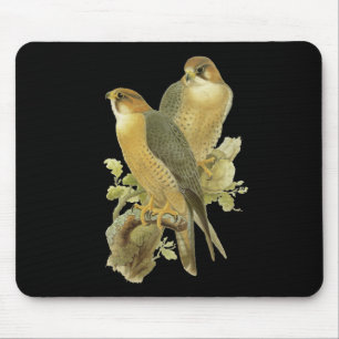 Mousepad Falcão de peregrino
