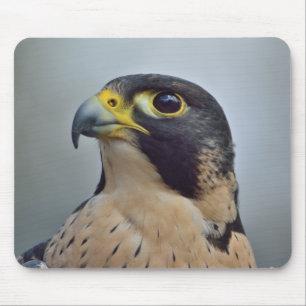 Mousepad Falcão de peregrino majestoso