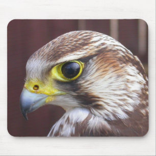 Mousepad Falcão Lanner