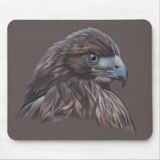 Mousepad Falcão no lápis colorido