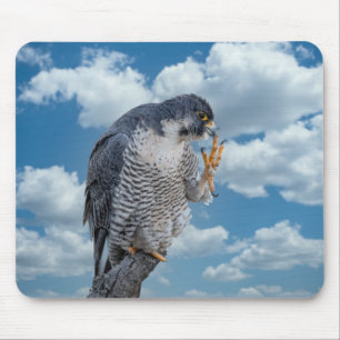 Mousepad Falcão Peregrine ao longo do rio Hudson