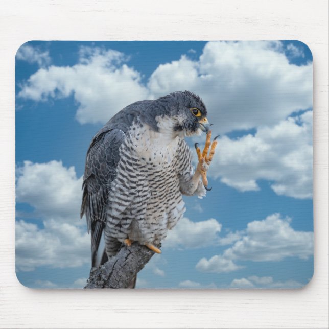 Mousepad Falcão Peregrine ao longo do rio Hudson (Frente)