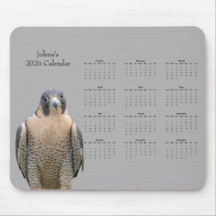 Mousepad Falcão-peregrino: Personalize o calendário de 2026