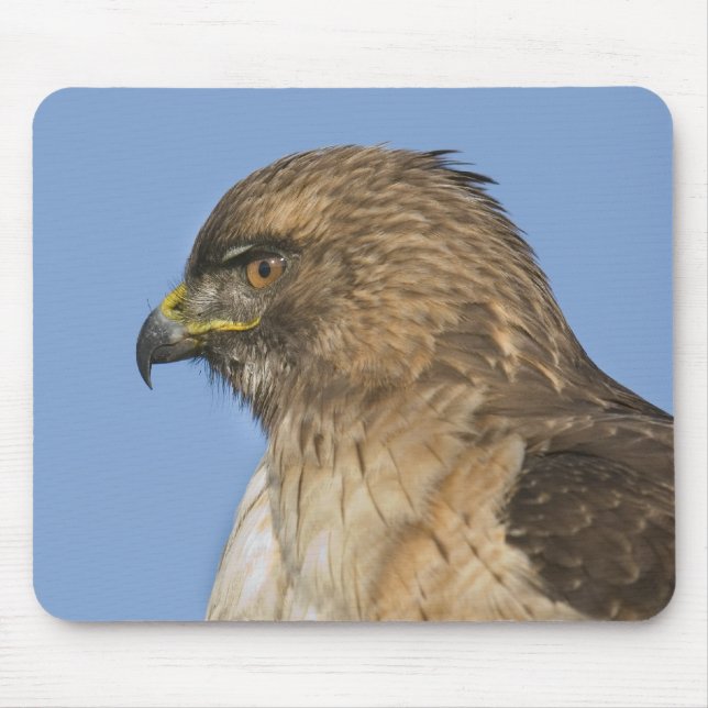 Mousepad falcão Vermelho-atado (Frente)