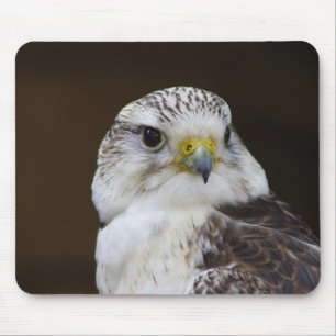 Mousepad Falco cherrug Portrait