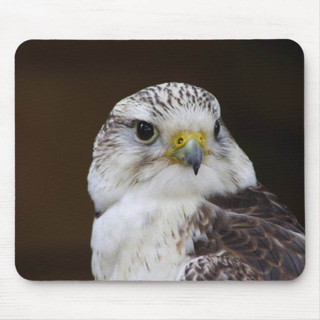 Mousepad Falco cherrug Portrait (Frente)