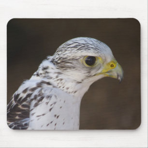Mousepad Falco rusticolus