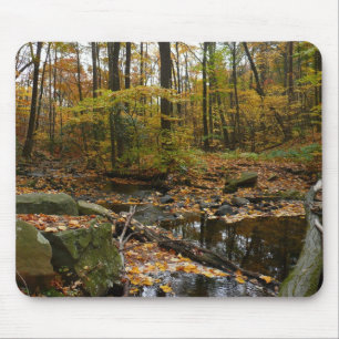 Mousepad Fall Creek com Reflexão no Laurel Hill Park