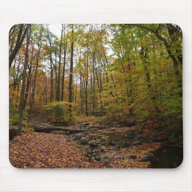 Mousepad Fall Creek no Laurel Hill State Park Pensilvânia (Frente)
