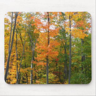 Mousepad Fall Maple Trees Autumn Nature Fotografia