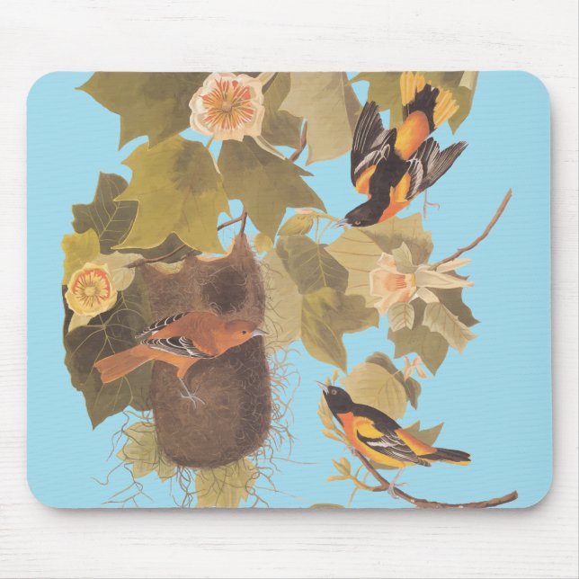 Mousepad Família Baltimore Oriole Audubon Bird com Nest (Frente)