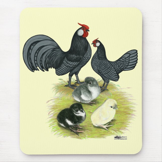 Mousepad Família Blue Rosecomb (Frente)
