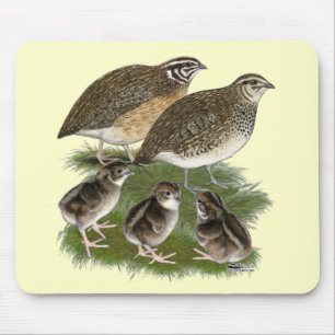 Mousepad Família das codorniz do Coturnix