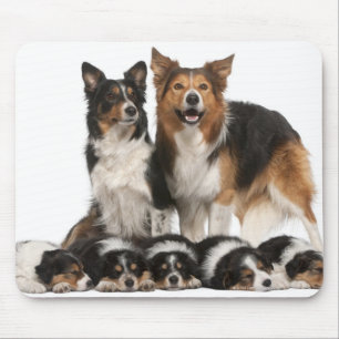 Mousepad Família de border collie