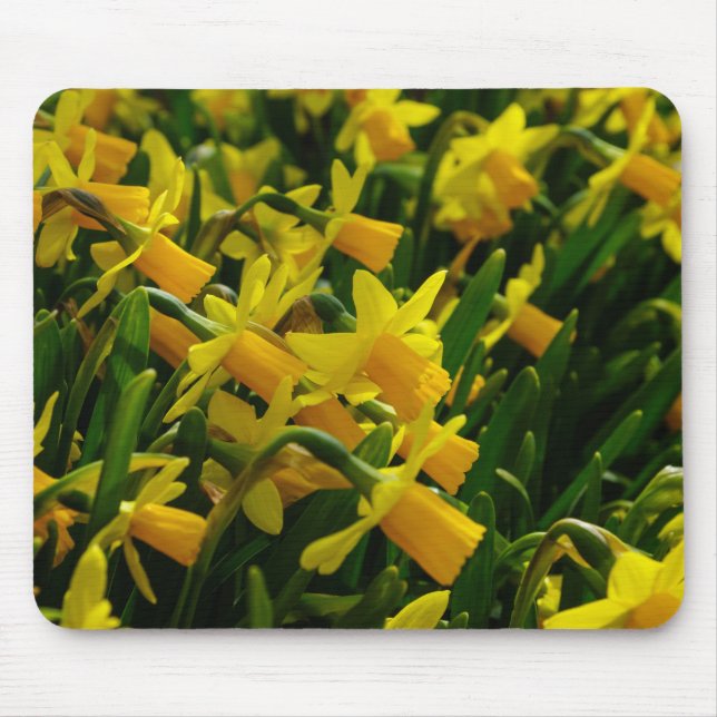 Mousepad Família de Narcisos (Frente)