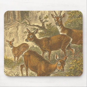 Mousepad Família de Roe - Deers em Floresta
