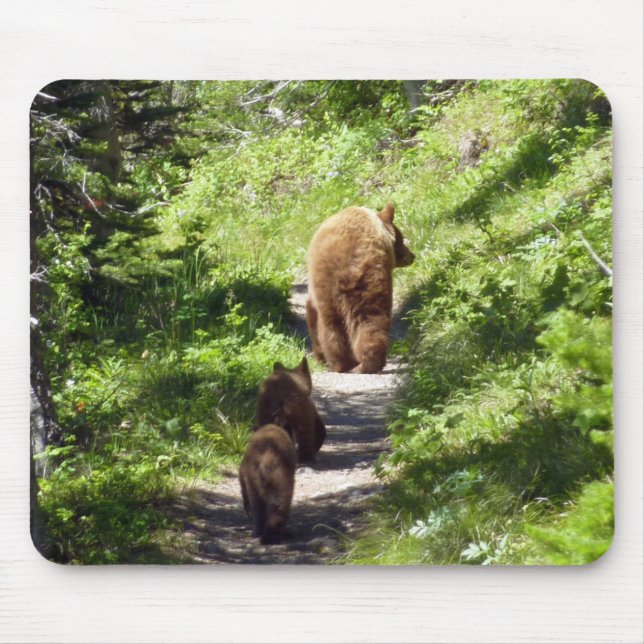 Mousepad Família de Urso Pardo (Frente)