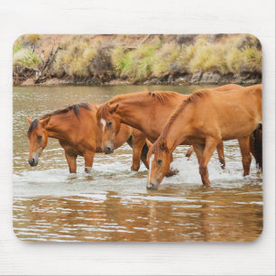 Mousepad Família do Cavalo Marrom no rio