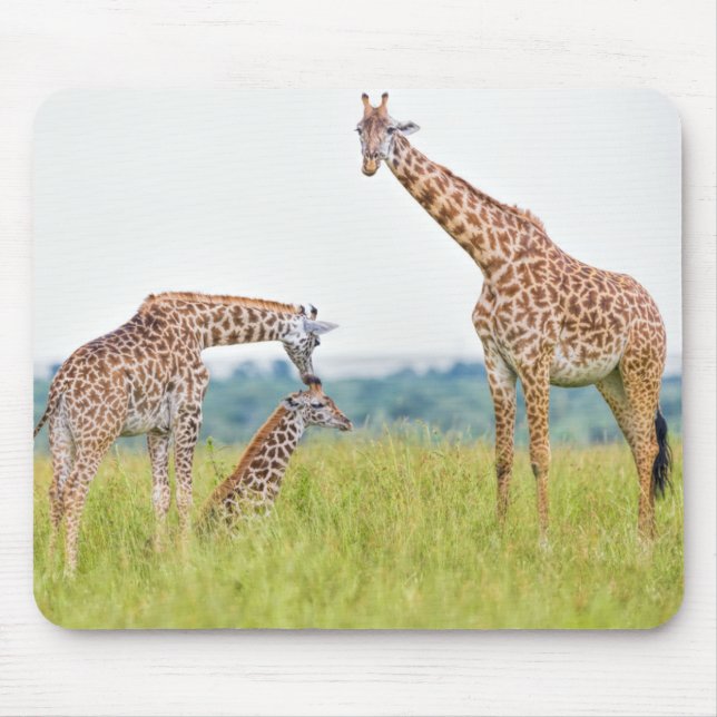 Mousepad Família do girafa das imagens | de Getty (Frente)