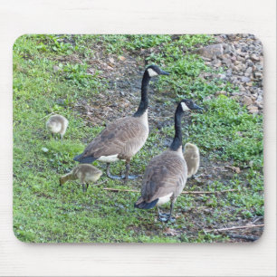 Mousepad Família Geese Canadense