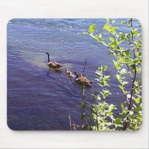 Mousepad Família Geese Canadense