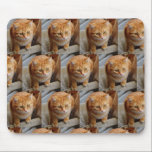 Mousepad Família Pet de Colagem de Modelo de Fotografia Per<br><div class="desc">Este design foi criado através da arte digital. Pode ser personalizado na área fornecer ou personalizar escolhendo o clique para personalizar uma opção adicional e um nome, iniciais ou palavras. Você também pode excluir o texto de um design de imagem apenas. Entre em contato comigo em colorflowcreations@gmail.com se você quiser...</div>