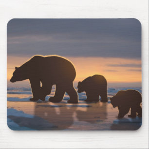 Mousepad Família Polar Bear