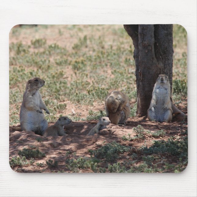 Mousepad Família Prairie Dog (Frente)