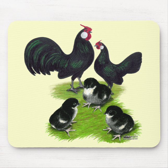 Mousepad Família Rosecomb Black Bantam (Frente)