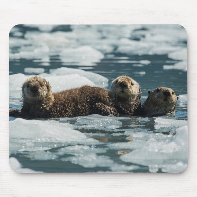 Mousepad Família Sea Otter (Frente)