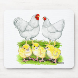 Mousepad Família Wyandotte de Frango Branco