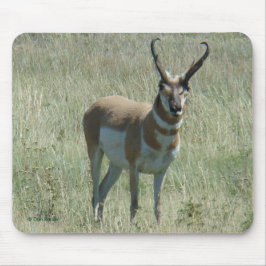 Mousepad Fanfarrão do antílope de A13 Pronghorn