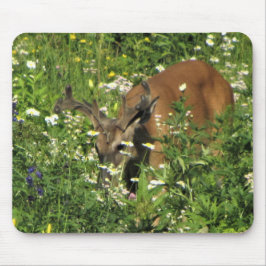 Mousepad Fanfarrão do ponto que consulta os jardins do