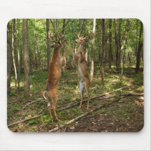 Mousepad Fanfarrões de combate do Whitetail