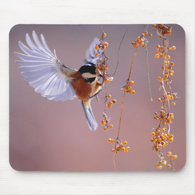 Mousepad Fantastic Bird Image/ Beautiful Nature (Frente)