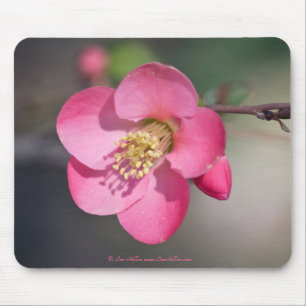 Mousepad Farinha Rosa Perfeita