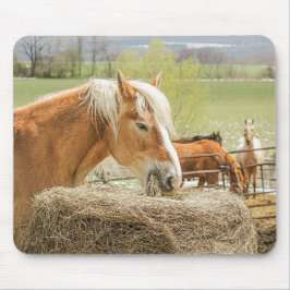 Mousepad Farm Horse Munching on Some Hay