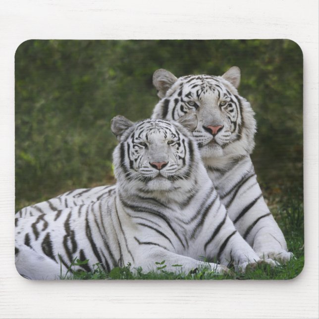 Mousepad Fase branca, Tigre de Bengala, Tigre (Frente)