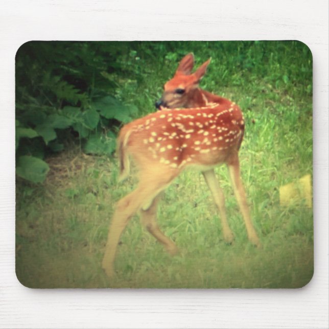 Mousepad Fawn (Frente)