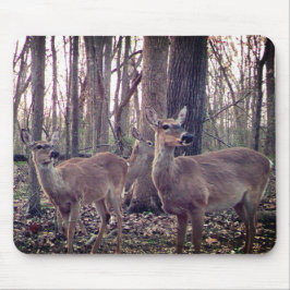 Mousepad Faz na Fazenda