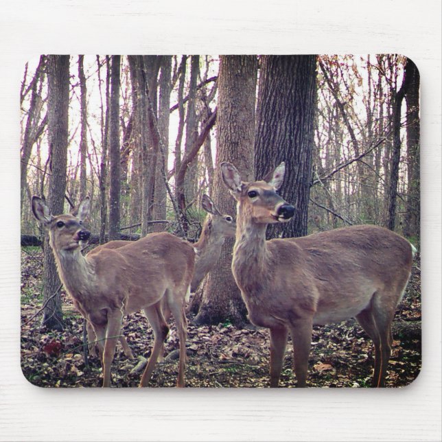 Mousepad Faz na Fazenda (Frente)