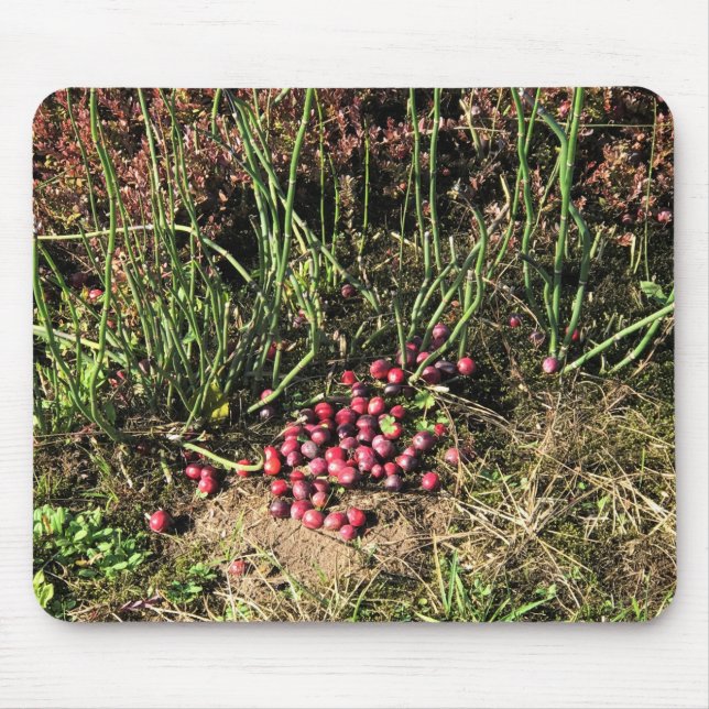 Mousepad Fazenda de amora, Long Beach, Washington (Frente)