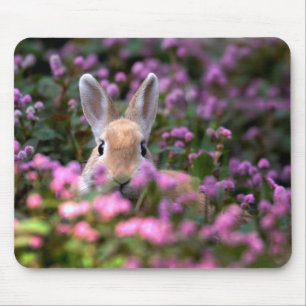 Mousepad Fazenda de coelho