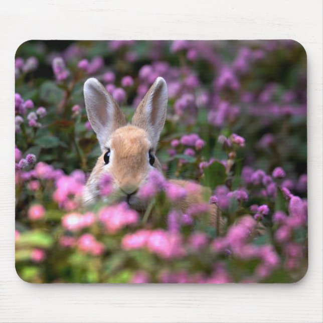 Mousepad Fazenda de coelhos (Frente)