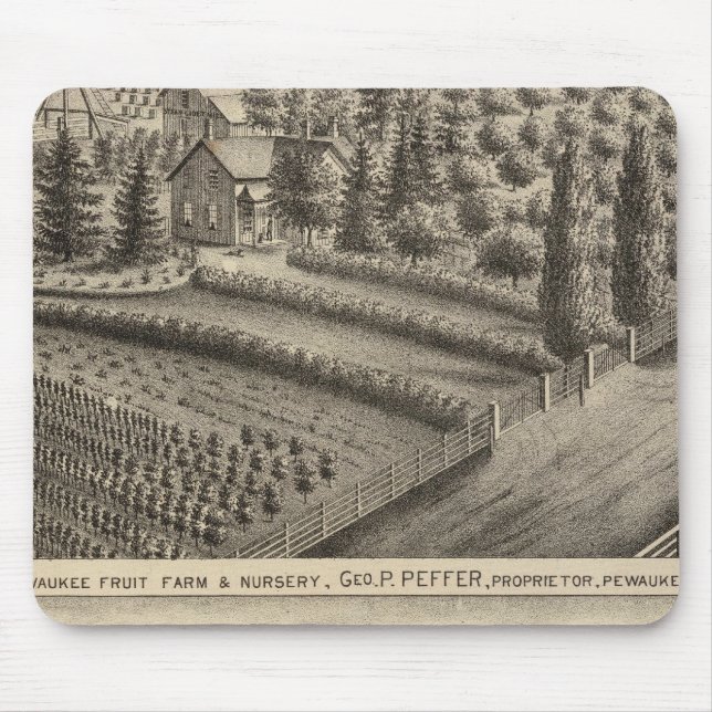 Mousepad Fazenda de Fruta e enfermaria (Frente)