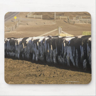 Mousepad 'Fazenda de leiteria no tempo de alimentação,