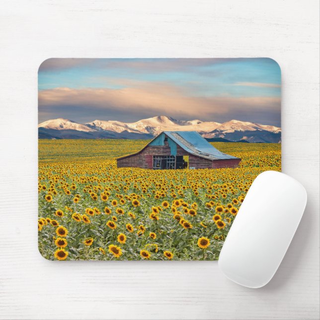 Mousepad Fazendas | Campo de girassol (Com mouse)