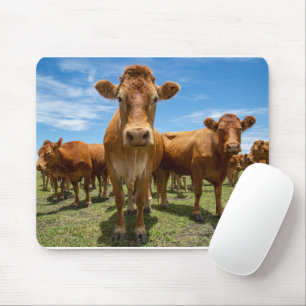 Mousepad Fazendas Castanho